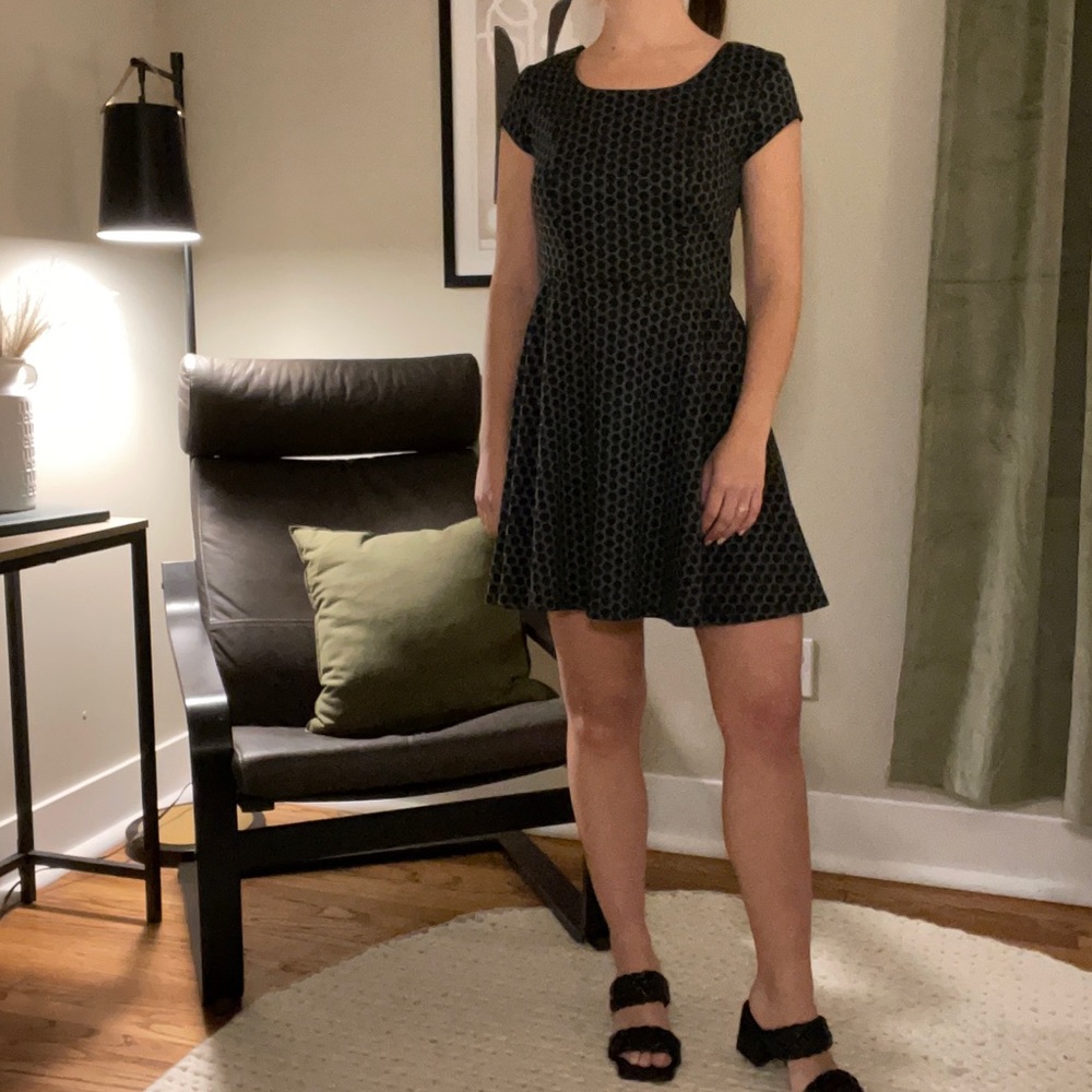 Business Professional Black Dress